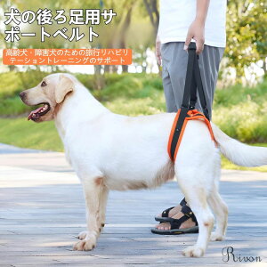 pn[lX 㑫p  s⏕n[lX  V n[lX 둫 n[lX U sT|[g pn[lX pn[lX s⏕ ی쌢 ֐ T|[g ߉\ ʋC 