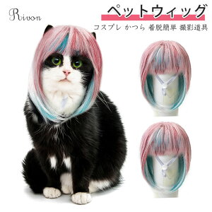 ybgEBbO  L ybgp Xq 蕨   L nEB Jc p[} At ObY ϑ ϐg Be o| U EȒP ʔ ڂɗ ΂  R