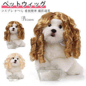  ٔ  L nEB ybgEBbO  L ybgp Xq 蕨 Jc p[} At ObY ϑ ϐg Be o| U EȒP ʔ ڂɗ ΂ 