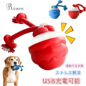 ���p�{�[�� �������� �� ������������y�b�g �����{�[�� USB�[�d�\ �h�b�O�{�[�� �����I�ɓ]���� ���S�ޗ� ��� �����h�b�O�{�[�� ��{�\���h�� �ې􂢉\ ������� �^���s���΍� �X�g