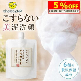 【期間限定 5％OFF！10/14 20:00〜10/17 09:59マデ】泡洗顔 泥洗顔 チョコザップ どろあわわ 110mL 泥豆乳石鹸 泥泡洗顔 洗顔フォーム 毛穴 洗顔 角質 くすみ 乾燥 保湿 スキンケア 女性 メンズ 詰め替え ミニ 個包装