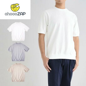 Tシャツ カットソー 半袖 チョコザップ 動けるカットソー ホワイト グレージュ ブルーグレー 無地 メンズ 白 青 ちょこざっぷ chocoZAP