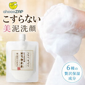 泡洗顔 泥洗顔 チョコザップ どろあわわ 110mL 泥豆乳石鹸 泥泡洗顔 洗顔フォーム 毛穴 洗顔 角質 くすみ 乾燥 保湿 スキンケア 女性 メンズ 詰め替え ミニ 個包装