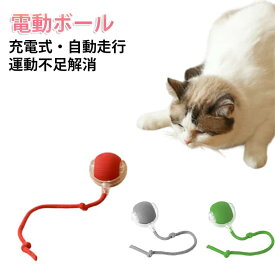 光る 電動 猫 ボール 猫 猫 自動 電動 静音 猫じゃらし 一人遊び ボール 自動回転 おもちゃ 一人遊び 3モード 猫 電動おもちゃ 人気 スマート自動ローリング USB充電式 ペットおもちゃ 猫 一人遊びおもちゃ お留守番に ストレス解消 ギフト