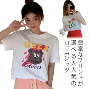 tVc fB[X  gbvX vgTVc STVc JWA 킢   Jbg\[  傫TCY T eB[Vc EhlbN  Rbg vI