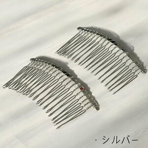 wAR[ p[c 2 20{ wAs wAANZT[  񂴂  C[R[   fB[X Nbv  y  Vo[ S[h