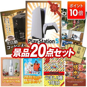 y|Cg10{zii 20_Zbg pl ؖژ^ rS  I 񎟉 YN VN StRy iiZbg yPlayStation 5ASR[q[[J[z  pl 