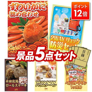 |Cg12{3IvGg[IYNii 5_Zbg pl ؖژ^ rS  I 񎟉 YN VN StRy iiZbg y킢ɋlߍ킹A2WAY