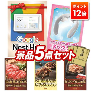 |Cg12{12/4 20:00 `vGg[IYNii 5_Zbg pl ؖژ^ rS  I 񎟉 YN VN StRy iiZbg yGoogle Nest HubAEMSlbNN