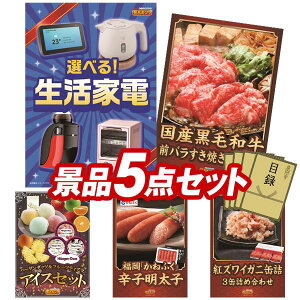 YNii 5_Zbg pl ؖژ^ rS  I 񎟉 YN VN StRy iiZbg yIׂ鐶ƓdAYјaOoĂp300gz  pl