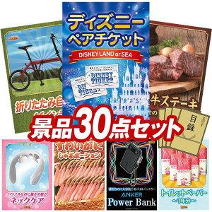 景品 30点セット 特大パネル 豪華目録 ビンゴ 結婚式 披露宴 二次会 忘年会 新年会 ゴルフコンペ 景品セット 【ディズニーペアチケット、折りたたみ自転車16インチ】 送料無料 特大パネル 豪