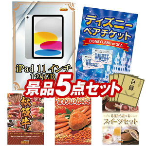 YNii 5_Zbg pl ؖژ^ rS  I 񎟉 YN VN StRy iiZbg yiPad 11C`@128GBAfBYj[yA`Pbgz  pl 