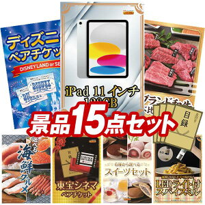 YNii 15_Zbg pl ؖژ^ rS  I 񎟉 YN VN StRy iiZbg yiPad 11C`@128GBAfBYj[yA`Pbgz  pl 