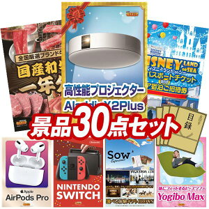 �r���S�i�i 30�_�Z�b�g ����p�l�� ���ؖژ^ �r���S ������ ��I�� �񎟉� �Y�N�� �V�N�� �S���t�R���y �i�i�Z�b�g �yAladdin X2 Plus�A�S���u�����h�a��1�N���i����300~400g×12��j�z �������� ��