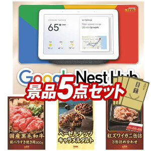 ii 5_Zbg pl ؖژ^ rS  I 񎟉 YN VN StRy iiZbg yGoogle Nest HubAEMSlbNN[[Vz  pl ؖژ^t