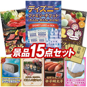 ii 15_Zbg pl ؖژ^ rS  I 񎟉 YN VN StRy iiZbg yfBYj[t@~[`Pbgl2 l1l1l)AIׂi {苍z 