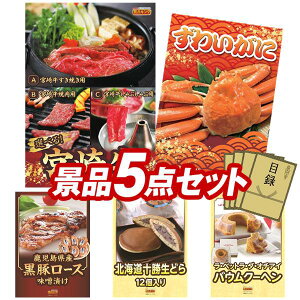 ii 5_Zbg pl ؖژ^ rS  I 񎟉 YN VN StRy iiZbg yIׂi {苍Ap킢Ɂz  pl ؖژ^t