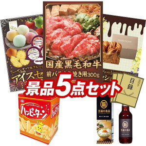 YNii 5_Zbg pl ؖژ^ rS  I 񎟉 YN VN StRy iiZbg yYјaOoĂp300gAn[Q_bct[ceBA