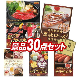 YNii 30_Zbg pl ؖژ^ rS  I 񎟉 YN VN StRy iiZbg yIׂi {苍AY@؃[XXЂz  