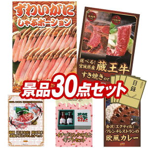 YNii 30_Zbg pl ؖژ^ rS  I 񎟉 YN VN StRy iiZbg y킢ɂԃ|[VAIׂI{錧YiĂorē