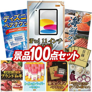 YNii 100_Zbg pl ؖژ^ rS  I 񎟉 YN VN StRy iiZbg yiPad 11C`@128GBAfBYj[yA`Pbgz  pl 