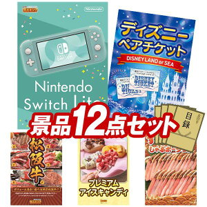 ii 12_Zbg pl ؖژ^ rS  I 񎟉 YN VN StRy iiZbg yNintendo Switch LiteAfBYj[yA`Pbgz  pl ؖژ^t