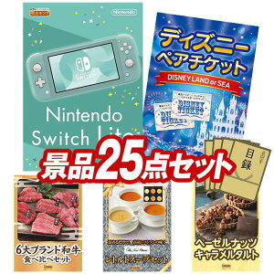 YNii 25_Zbg pl ؖژ^ rS  I 񎟉 YN VN StRy iiZbg yNintendo Switch LiteAfBYj[yA`Pbgz  pl ؖ