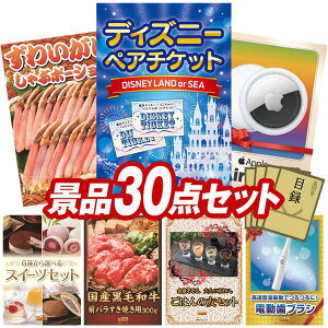 YNii 30_Zbg pl ؖژ^ rS  I 񎟉 YN VN StRy iiZbg yfBYj[yA`PbgA킢ɂԃ|[Vz  