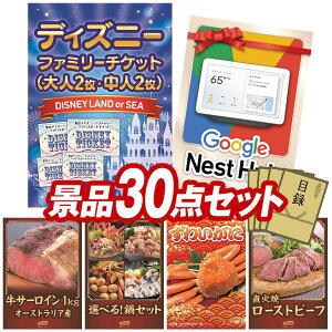 YNii 30_Zbg pl ؖژ^ rS  I 񎟉 YN VN StRy iiZbg yfBYj[t@~[`Pbgil2 l2)AGoogle Nest Hubz 