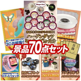 景品 70点セット 特大パネル 豪華目録 ビンゴ 結婚式 披露宴 二次会 忘年会 新年会 ゴルフコンペ 景品セット 【ハーゲンダッツ ミニカップ 1ヶ月分　30個、3Dペン 立体お絵かき】 送料無料 特大パネル 豪華目録付き