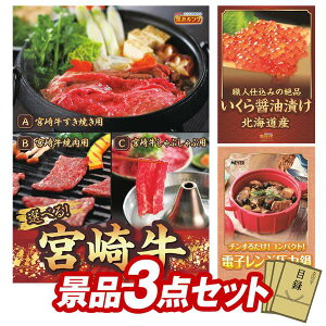 ii 3_Zbg pl ؖژ^ rS  I 񎟉 YN VN StRy iiZbg yIׂi {苍AkCݖЂz  pl ؖژ^t