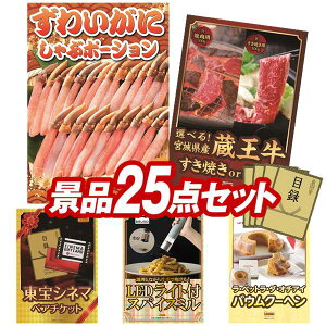 ii 25_Zbg pl ؖژ^ rS  I 񎟉 YN VN StRy iiZbg y킢ɂԃ|[VAIׂI{錧YiĂorējz 