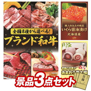 StRyii 3_Zbg yIׂISuhaAkCݖЂ z IplEژ^ETtI