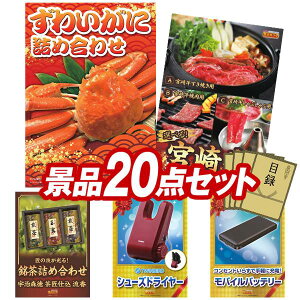 LO܁ StRyii 20_Zbg y킢ɋlߍ킹AIׂi {苍 z IplEژ^ETtI