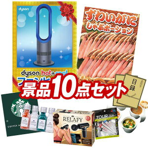 �S���t�R���y�i�i 10�_�Z�b�g �yDyson Hot + Cool�@�t�@���q�[�^�[�A���킢���ɂ���ԃ|�[�V���� ���z ���������I����p�l���E�ژ^�E���T�t���I