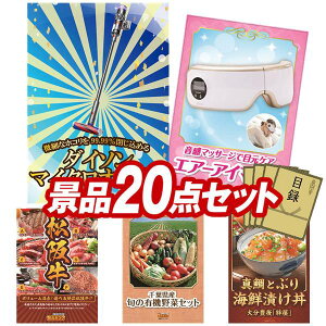 �S���t�R���y�i�i 20�_�Z�b�g �ySV33 �_�C�\�� �}�C�N���I���W���A���E���[�i �G�A�[�A�C�}�X�N ���z ���������I����p�l���E�ژ^�E���T�t���I