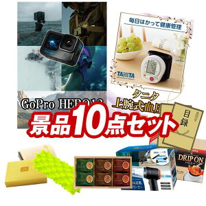 �S���t�R���y�i�i 10�_�Z�b�g �yGoPro HERO12�A�^�j�^ ��r�������v ���z ���������I����p�l���E�ژ^�E���T�t���I