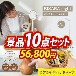 �S���t�R���y�i�i 10�_�Z�b�g �yBISARA Light �n���Y�t���[�h���C���[�A���t�� �ؖڒ��������� ���z ���������I����p�l���E�ژ^�E���T�t���I
