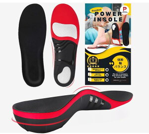 yS̓{uhBY MANIA JAPANzC\[ ؖ ؖɘa A[`T|[g Ռz Ε O Or  Lw c p p ~ _CGbg jp POWER MANIA