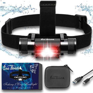 �V�[�{���Y �w�b�h���C�g 1000���[���� SPEC2