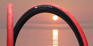 ACA[V[^C(IRC tire) ] ^C JETTY PLUS WFbeB[vX eTCYEJ[