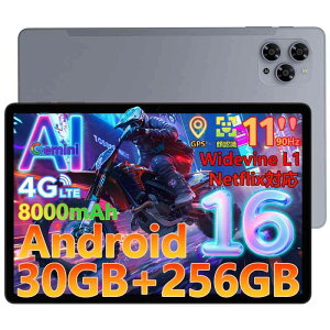 DOOGEE G6 AhCh16 ^ubg 11C` 30GB+256GB+2TB TFg