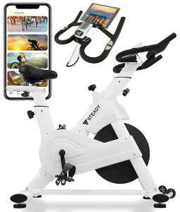 STEADY �X�s���o�C�N Plus/Pro�yZwift/�A�v���A��/�É�/�g���ȒP�z�G�A���o�C�N �t�B�b�g�l�X�o�C�N �ƒ�p �g���[�j���O�o�C�N�E�}�V�[�� ST142 ST145