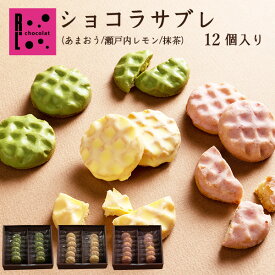 【20％OFFクーポン有】母の日 チョコレート プレゼント ギフト お菓子 会社 上司 友達 手土産 個包装 ショコラ ギフト サブレ 12個 抹茶 いちご レモン サブレ プチギフト お菓子 退職 お礼 ワッフル 出産内祝い 焼き菓子 誕生日 チョコ 挨拶 ばらまき 父の日 早割