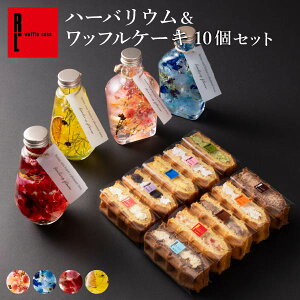 Iׂ n[oE btP[L 10 ZbgNX}X َq v[g w  Ⓚ P[L Mtg XC[c j Ԃ َq 蕨 mَq oYj ސE  j 