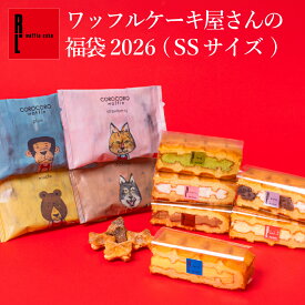 R.L エール・エル 創業祭セット ＜SSサイズ＞ | 送料無料 福袋 ハッピーバッグ お菓子 詰め合わせ 冷凍 ケーキ スイーツ ワッフル ケーキ セット 手土産 挨拶ギフト お菓子詰め合わせ お正月 年末年始 手土産 2026 お年賀