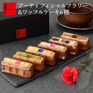 av[g A[eBtBVt[btP[L6 b XC[c ԂƂَq ԂƃXC[c v[g َq mَq 񂹃XC[c  j  Mtg XC[c