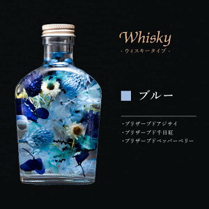 ya₨j̃v[gɁIzn[oE bt 6 Zbg | v[g XC[c Mtg  َq n[oE Zbg btP[L 񂹃XC[c P[L m