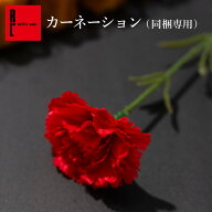 【同梱専用】カーネーション【単品注文はキャンセル】可愛い おしゃれ プレゼント 誕生日プレゼント お礼…