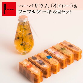 【お誕生日やお祝いのプレゼントに！】ハーバリウム＆ ワッフル 6種 セット | プレゼント スイーツ ギフト 花 お菓子 ハーバリウム セット ワッフルケーキ お取り寄せスイーツ ケーキ 洋菓子 ギフト おしゃれ 可愛い プレゼント 送料無料 フラワー 詰め合わせ